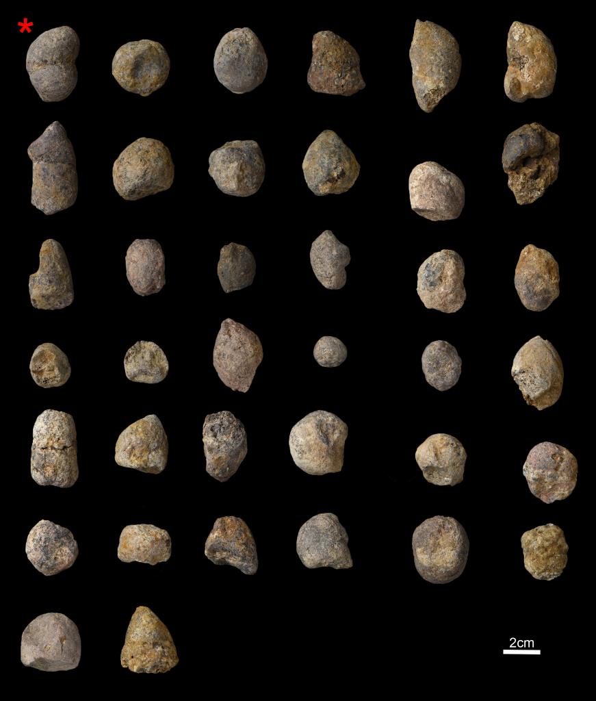 ��ѧ�Ҵ�Ȯ�Ʒ໯ʯ�ж�ȡ180����ǰ�Ĺ���̬��Ϣ