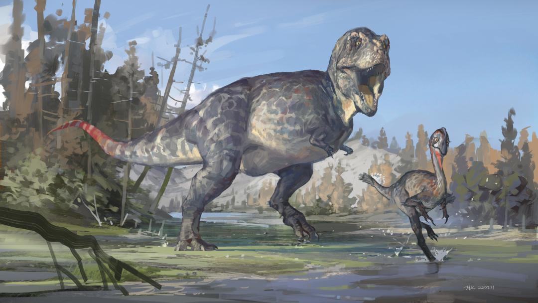 �����״η��ֱ������ƻ�ʯ �����峤���ܳ���6��