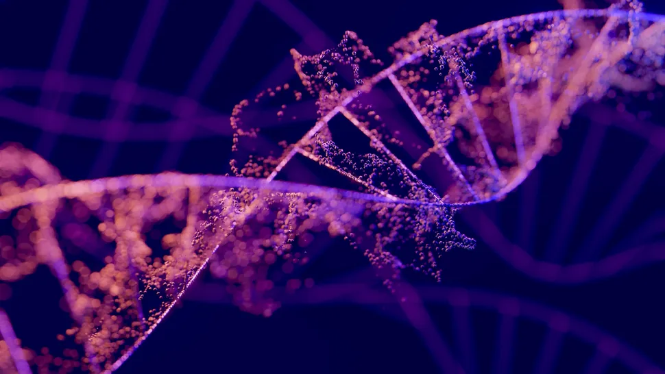 �ᰲ������YȾɫ����ʧ֮��