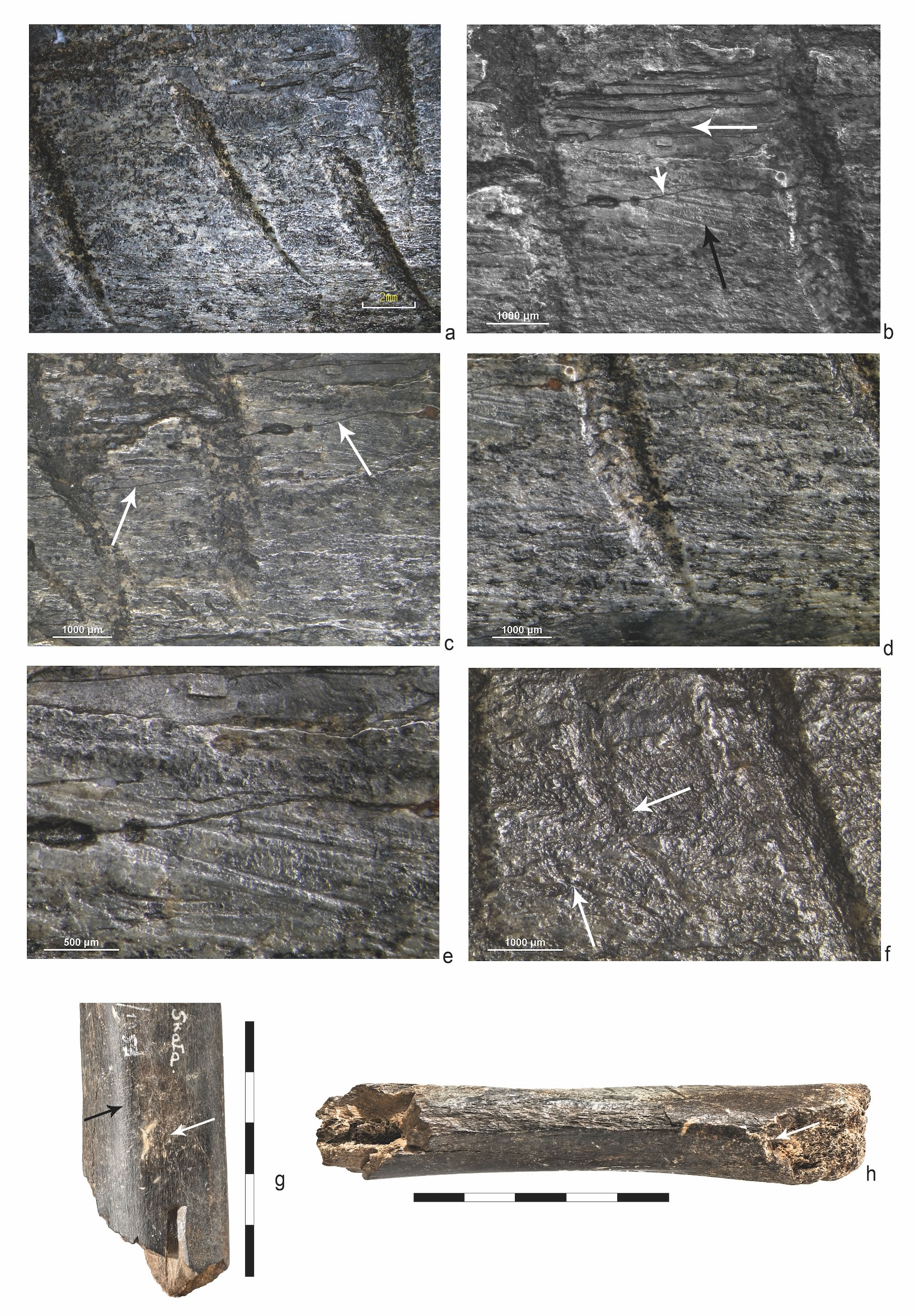 �о���Ϊ��13����ǰ�ᰲ�����˵�̵��ܹ�������������