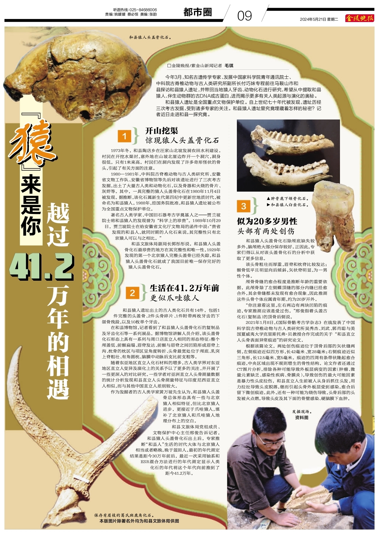 ��Գ�������� Խ��41.2���������