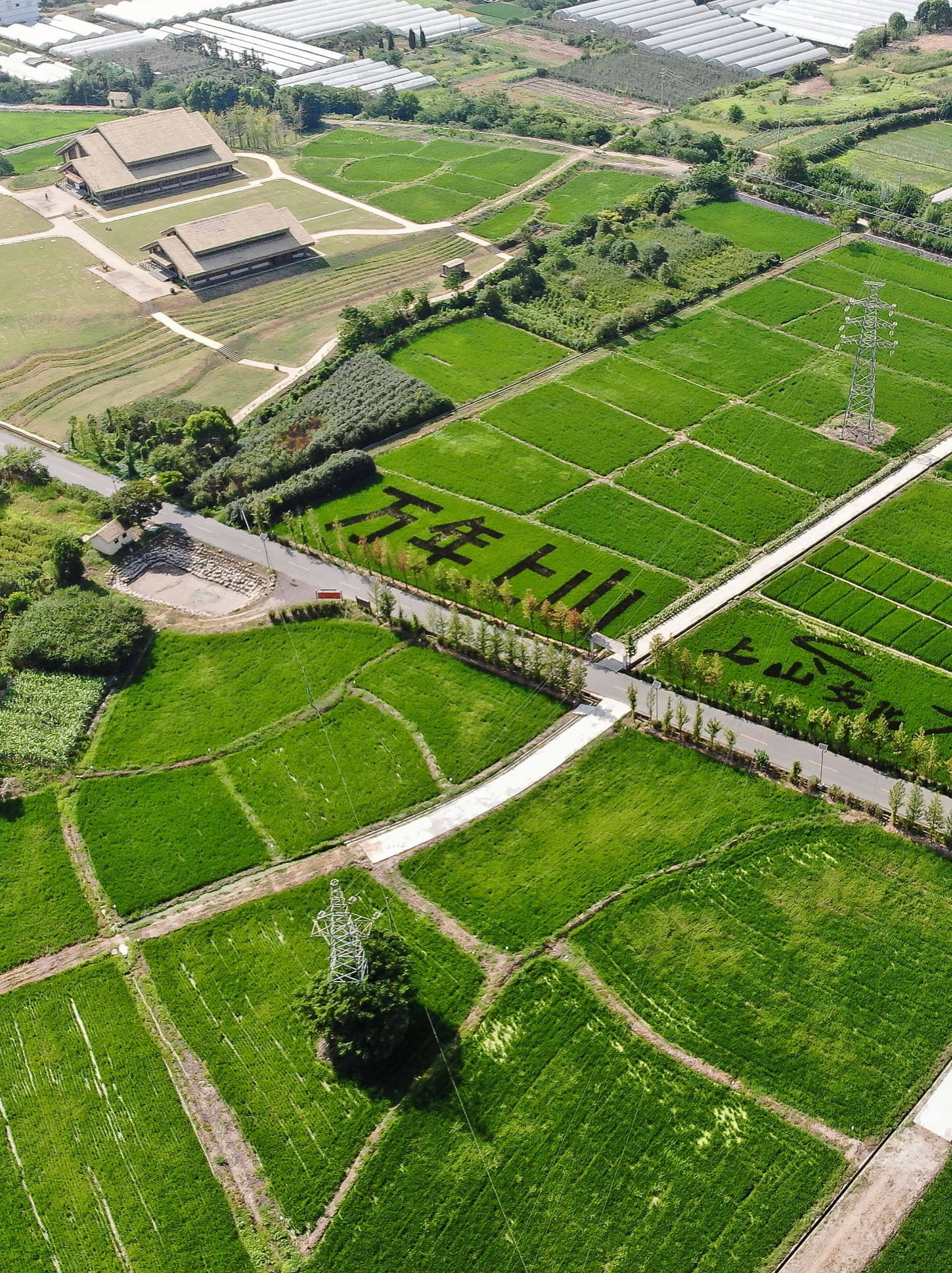 ��Խ10���꣬�����á�ָ�ơ������й�ˮ���ݻ�ʷ