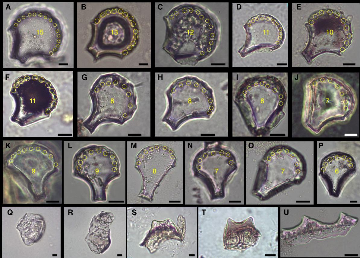 ��Խ10���꣬�����á�ָ�ơ������й�ˮ���ݻ�ʷ