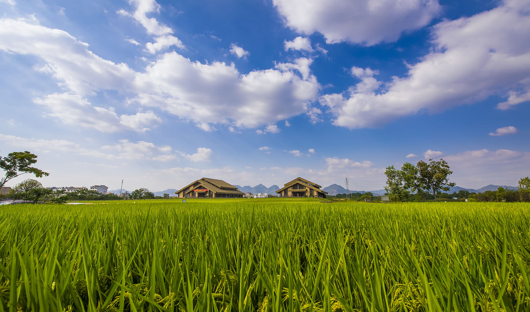 ��Խ10���꣬�����á�ָ�ơ������й�ˮ���ݻ�ʷ