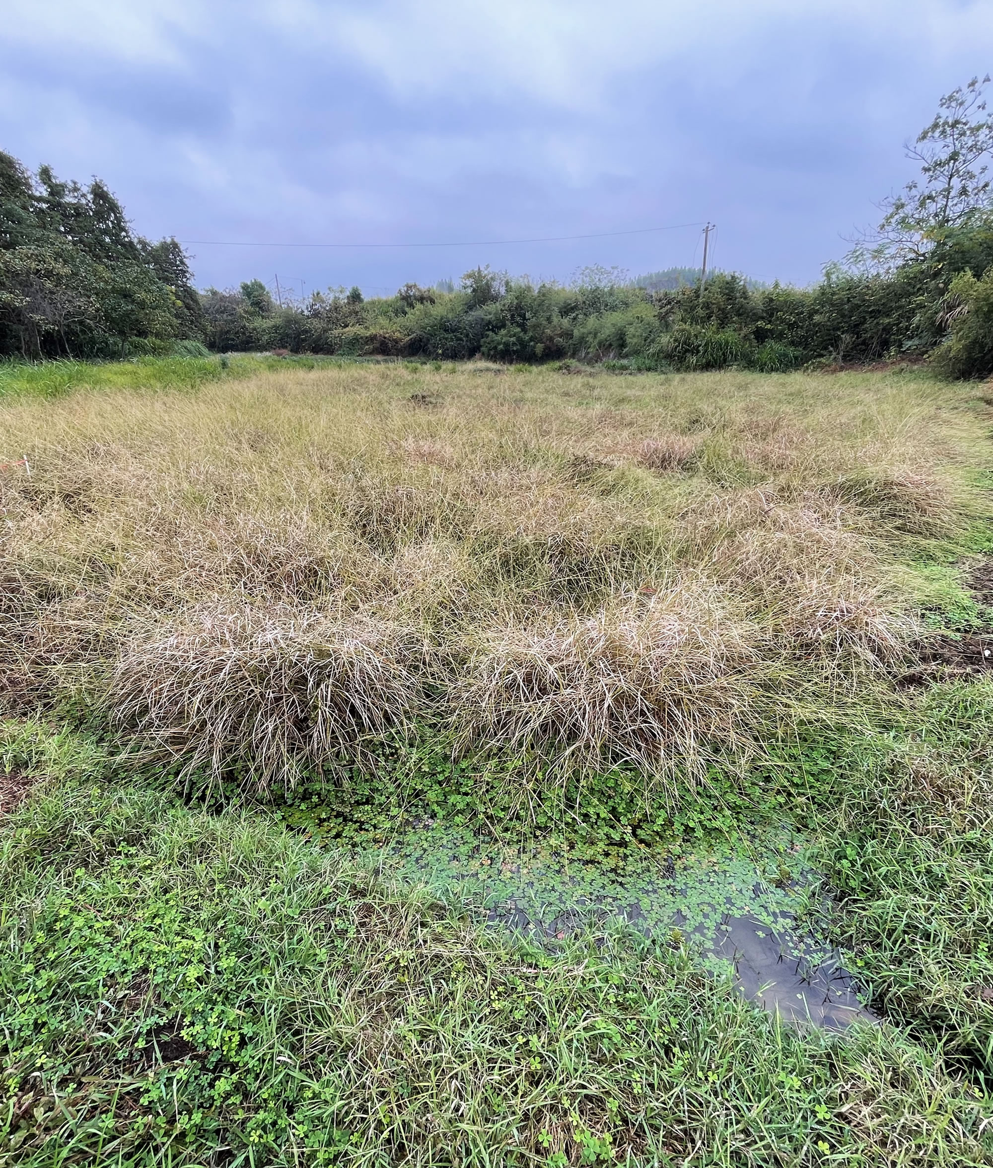 ��Խ10���꣬�����á�ָ�ơ������й�ˮ���ݻ�ʷ