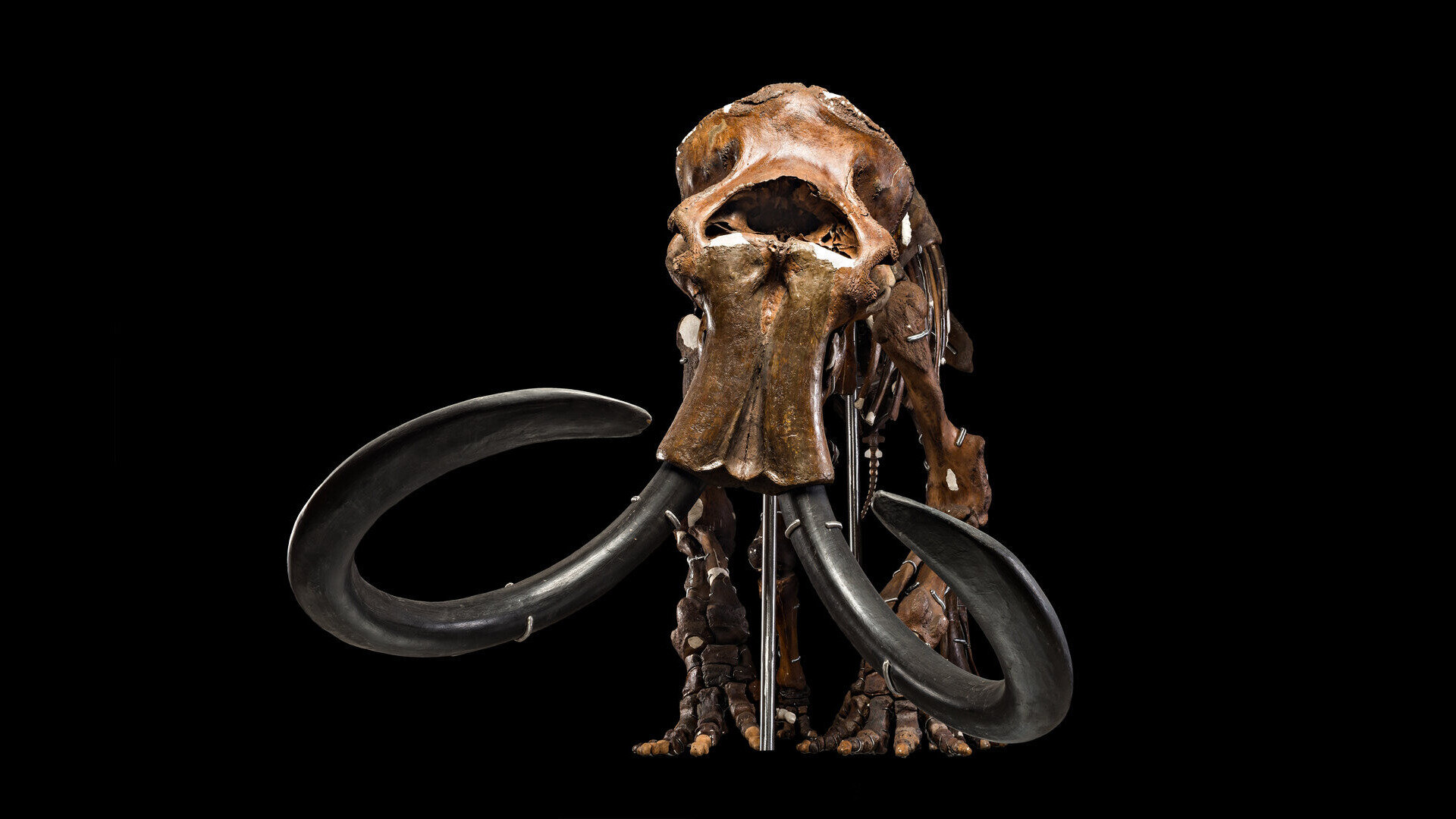 �ڹŴ��ǽ�ԭ�����з���5����ǰ�������Ͳ��鶯��������ʧ������