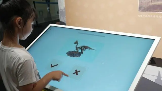 йʲݣһȦչĹ