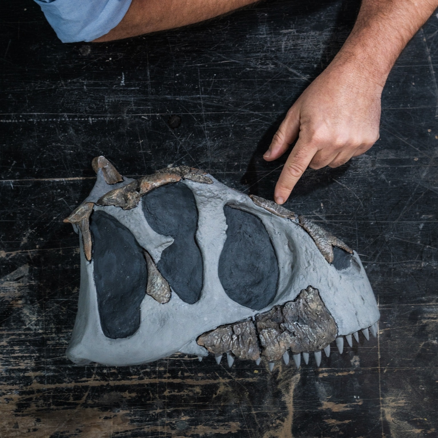 ����͢�������ֿ���Koleken inakayali���ֱ۾��ȱ�������С��