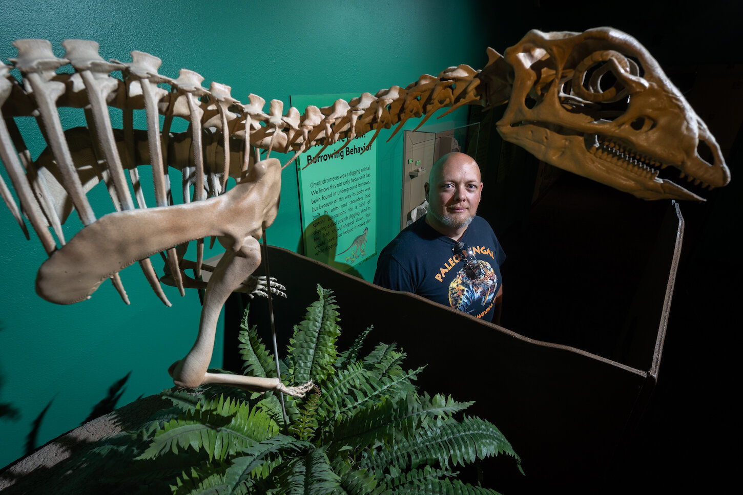 �µķ�����ʾ�˰�����ݵĿ���