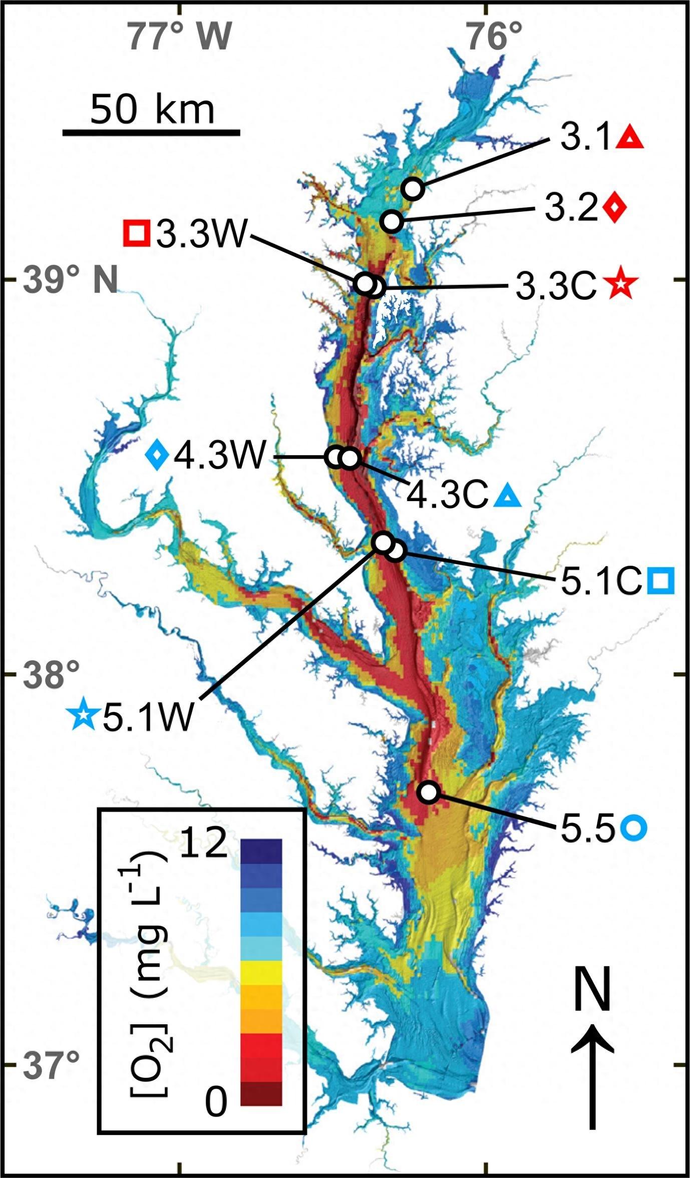 ��ѧ�ҷ��ֽ��������в�Ѱ������Ӣ�ۣ�ʷǰ�����������