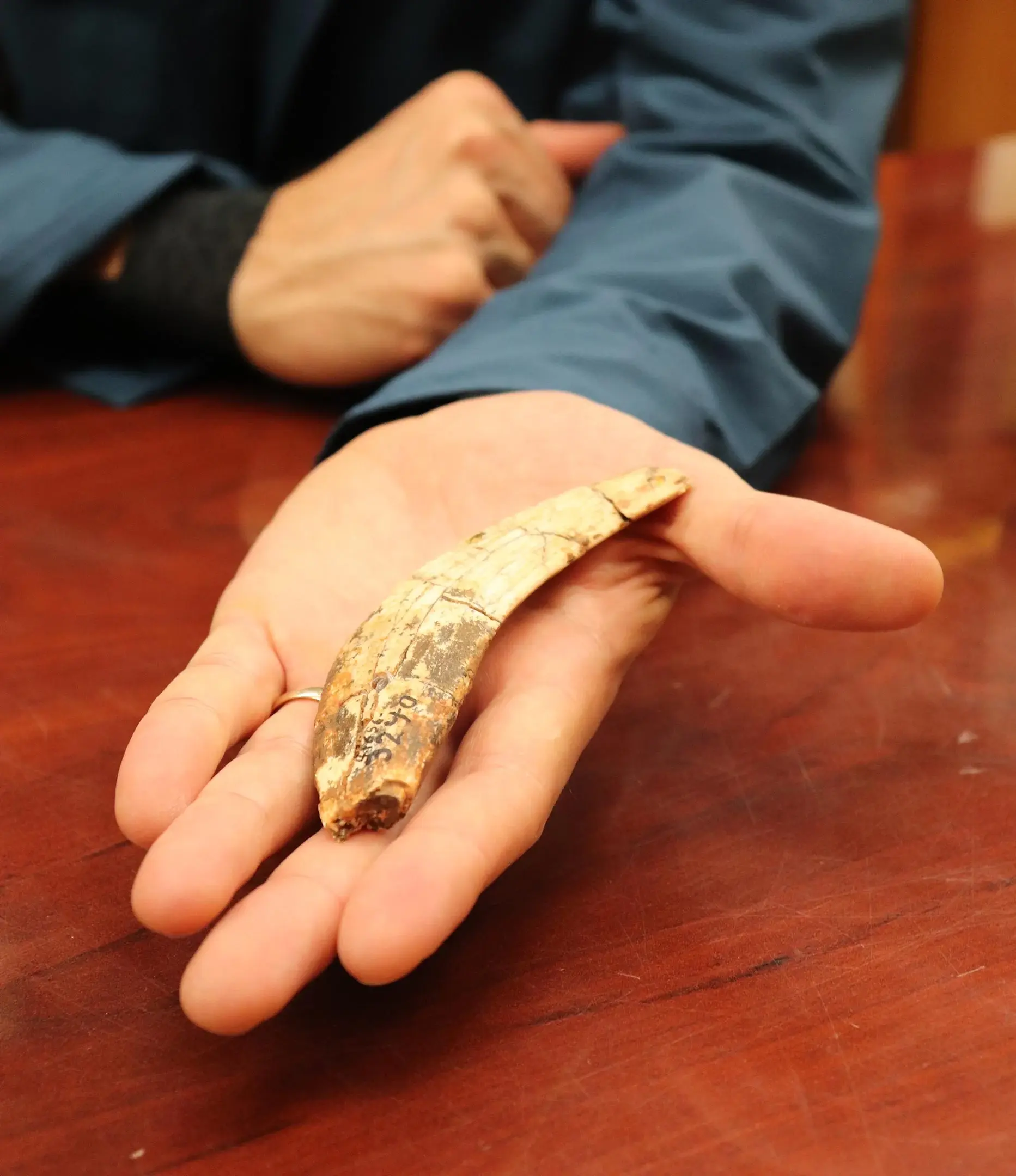 ��2Ӣ���СС��ʯ��д�����ǶԽ��ݻ�����ʶ