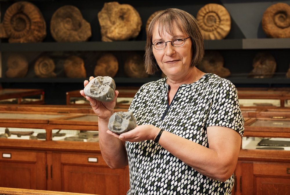 ��ý����������С����Գ���д�������ʷ