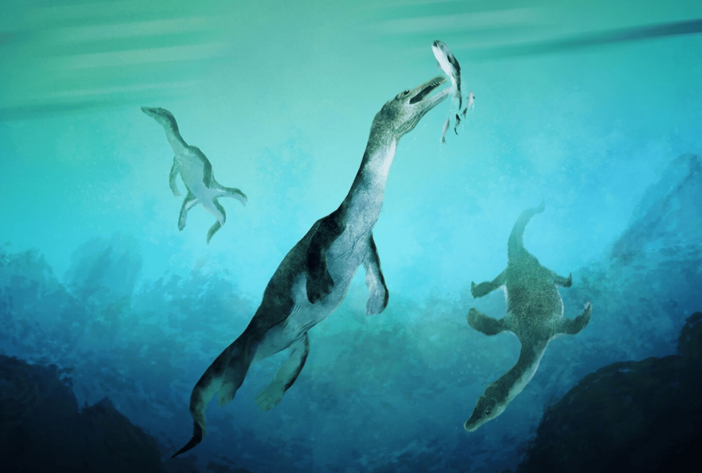 �����������ϰ�����֪����ϵĺ������ж��� ����������˹��ˮ��