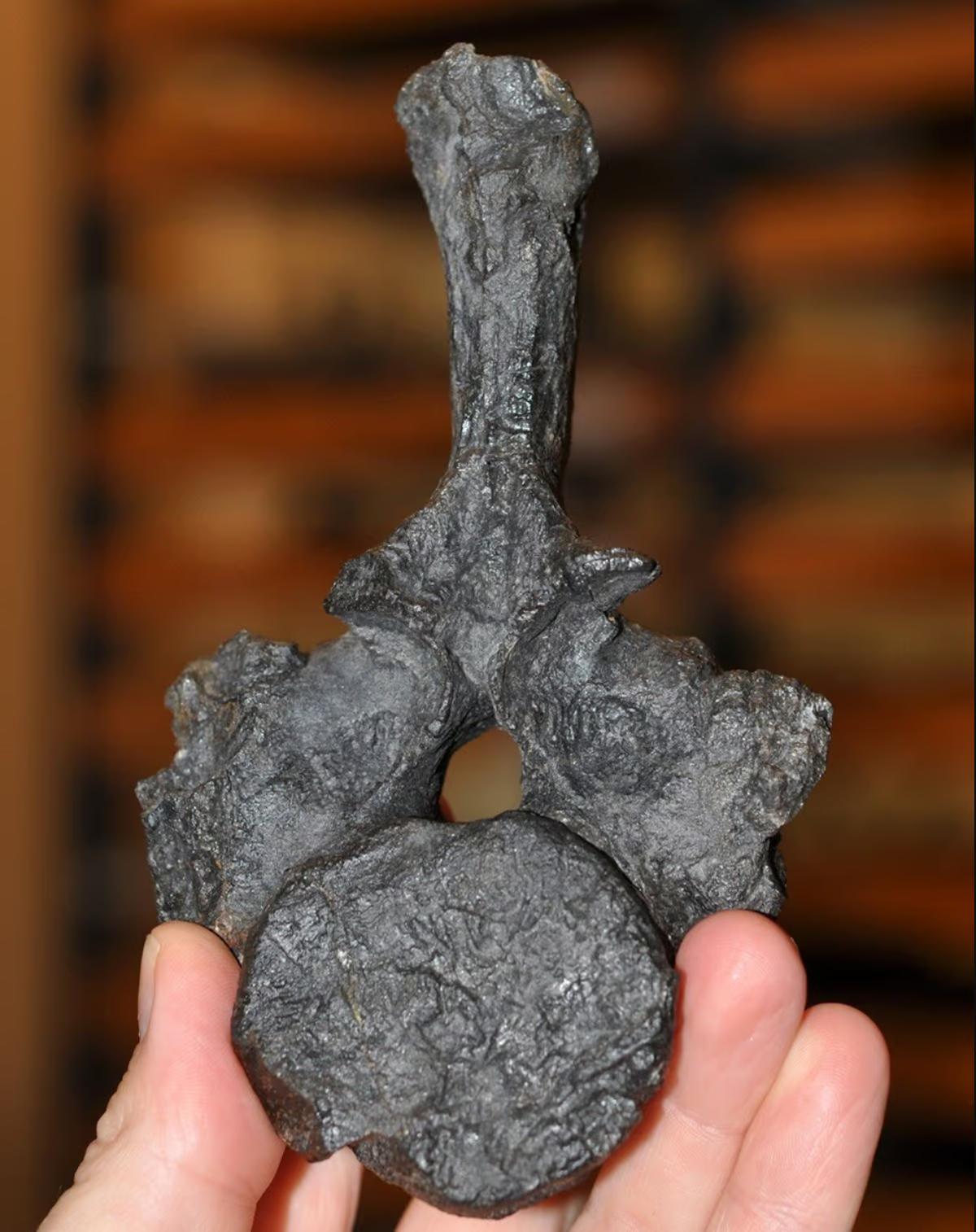 �����������ϰ�����֪����ϵĺ������ж��� ����������˹��ˮ��