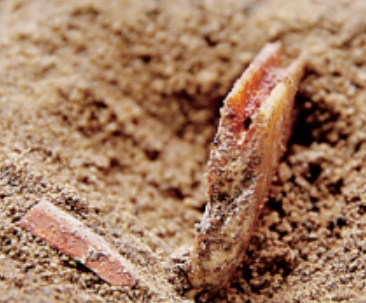 ÷�����գ�ѩ���ԭ�ϵĹ������԰