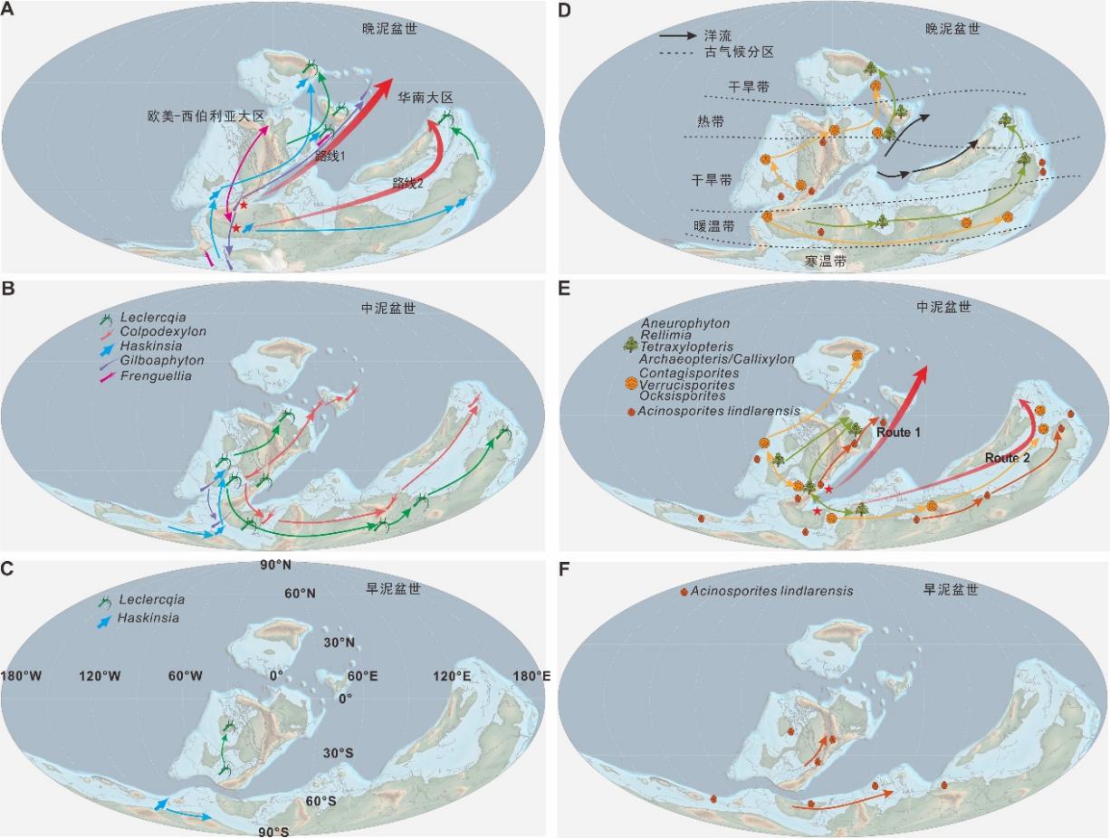 数据分析揭示泥盆纪植物传播模式