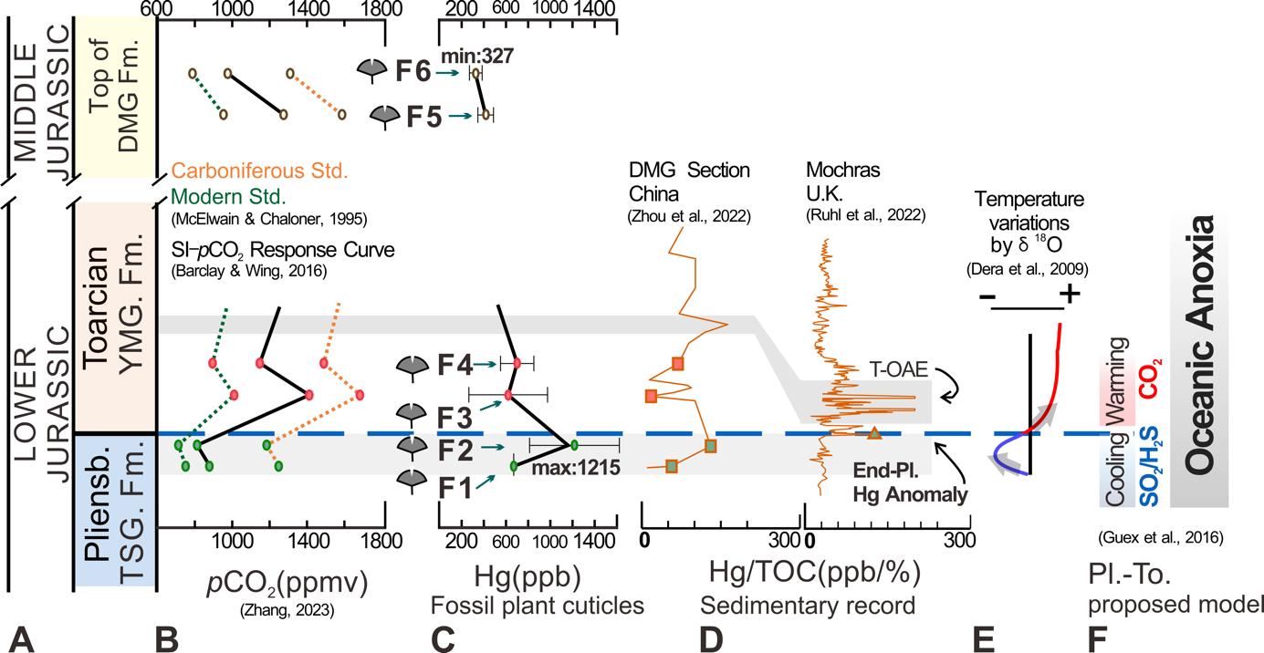 利用银杏叶片化石追踪古大气汞浓度的变化