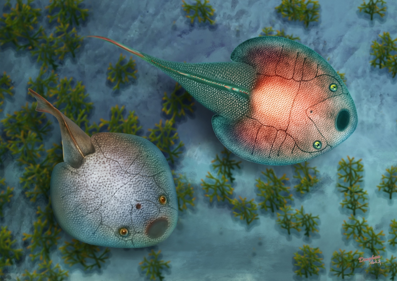 �»�ʯ���ֽҿ�4�ڶ���ǰ�����������㡱����֮��