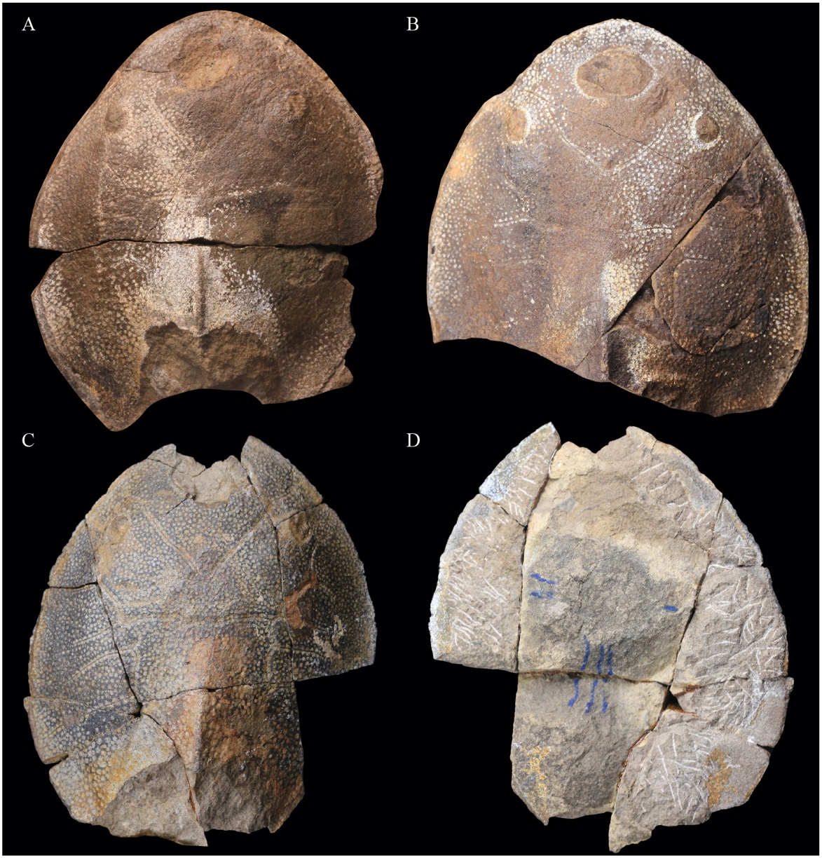 �»�ʯ���ֽҿ�4�ڶ���ǰ�����������㡱����֮��