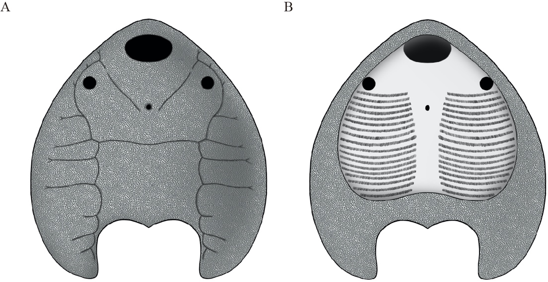 �»�ʯ���ֽҿ�4�ڶ���ǰ�����������㡱����֮��