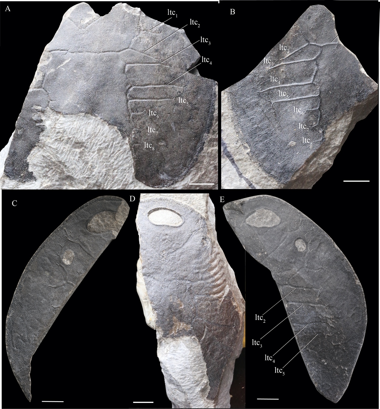 �»�ʯ���ֽҿ�4�ڶ���ǰ�����������㡱����֮��