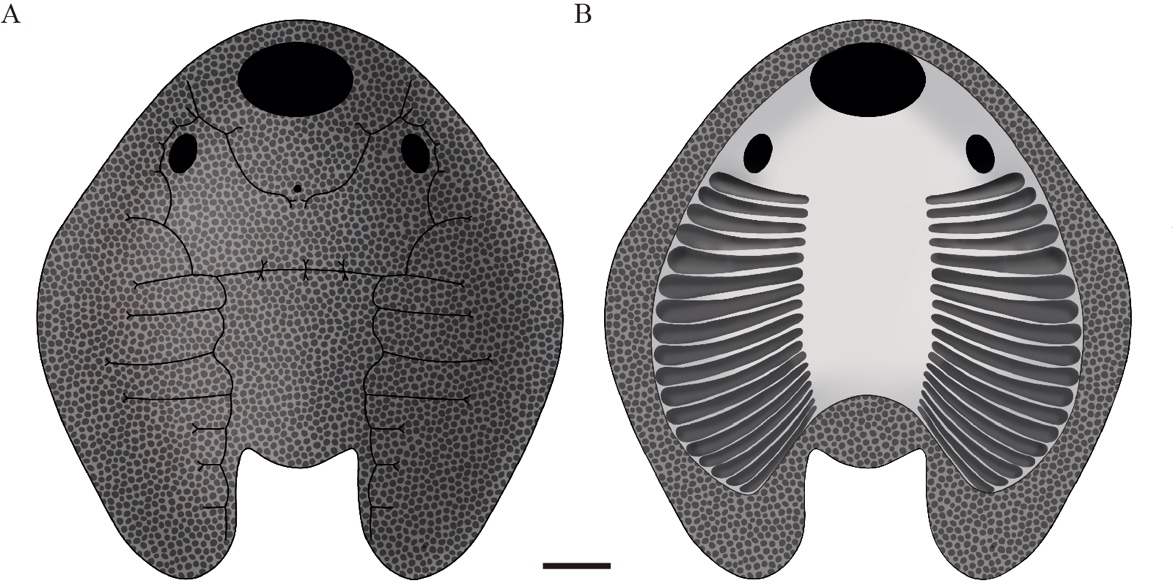 �»�ʯ���ֽҿ�4�ڶ���ǰ�����������㡱����֮��