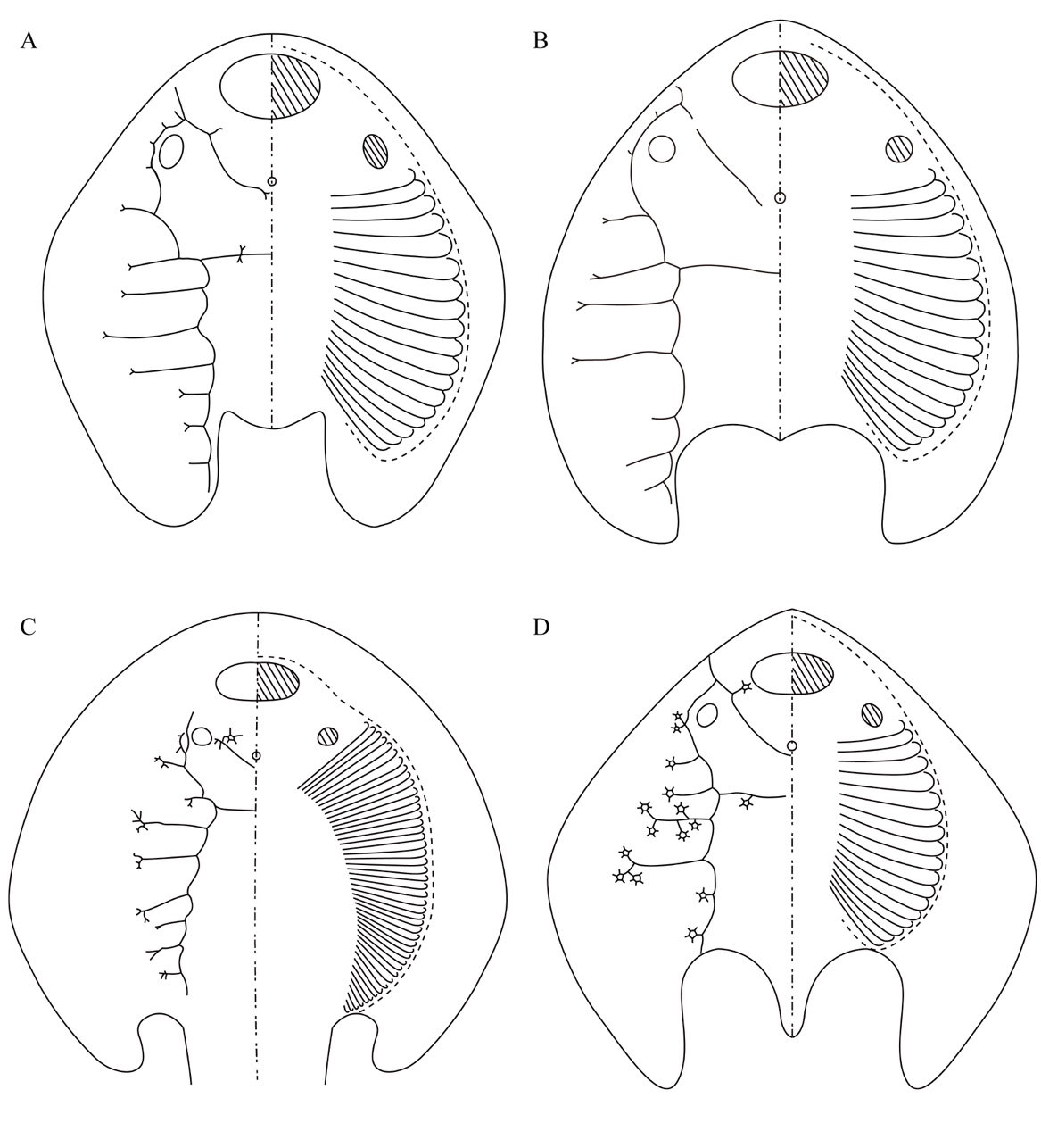 �»�ʯ���ֽҿ�4�ڶ���ǰ�����������㡱����֮��