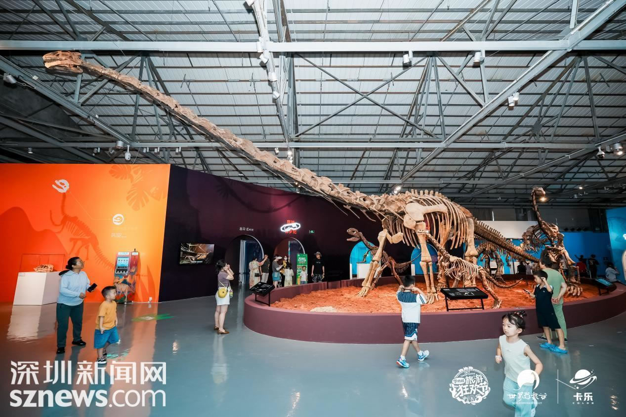 �����������ˡ����ⳡ����ʽ������ʯչ������