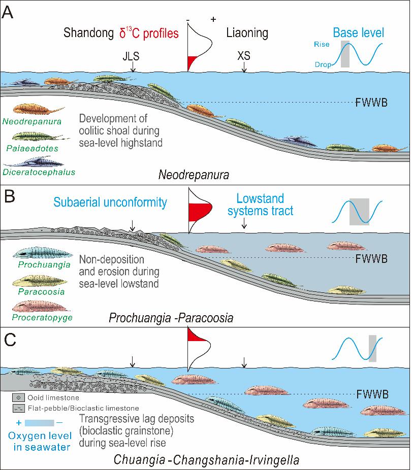�����SPICE�¼��йź�ˮ���������½���������Ҷ�涯��Ⱥ���ش�����