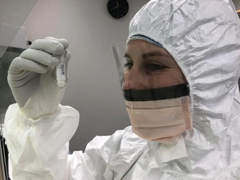 ��ë������һս��������������������ܺ��������