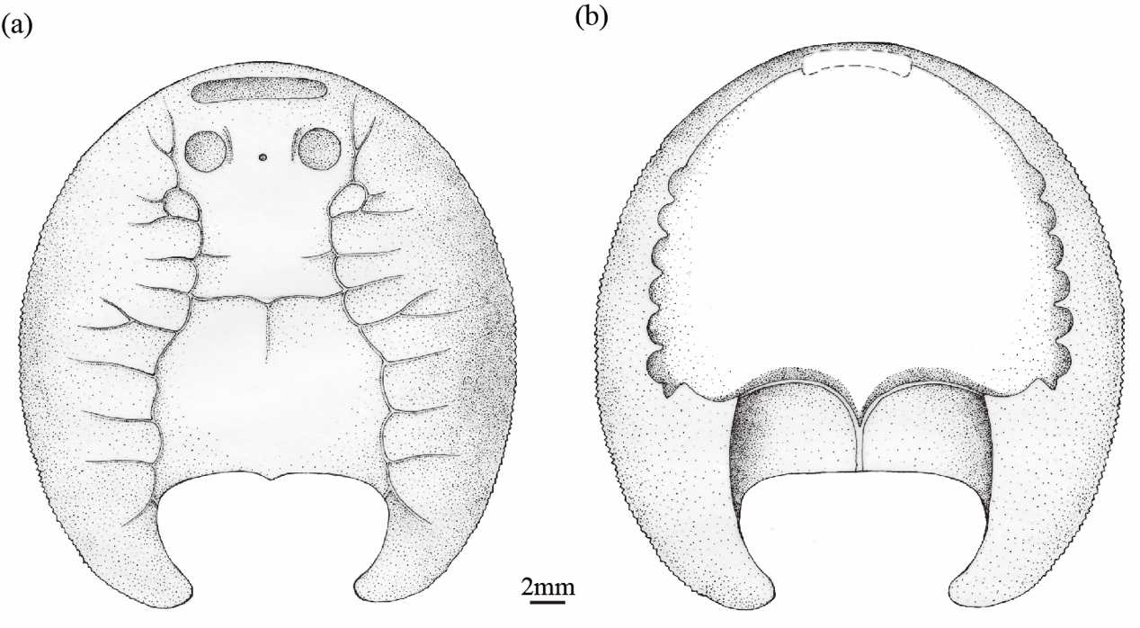 �ҹ��㽭���˺��½�����ľ��ط���4.38 ����ǰ������