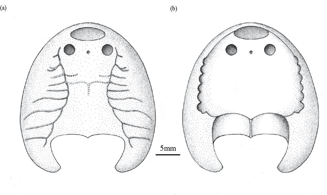 �ҹ��㽭���˺��½�����ľ��ط���4.38 ����ǰ������