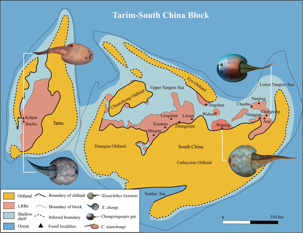 ���Լ4.38���� �й���ѧ�����½�����ľ����·��ֳ����㻯ʯ