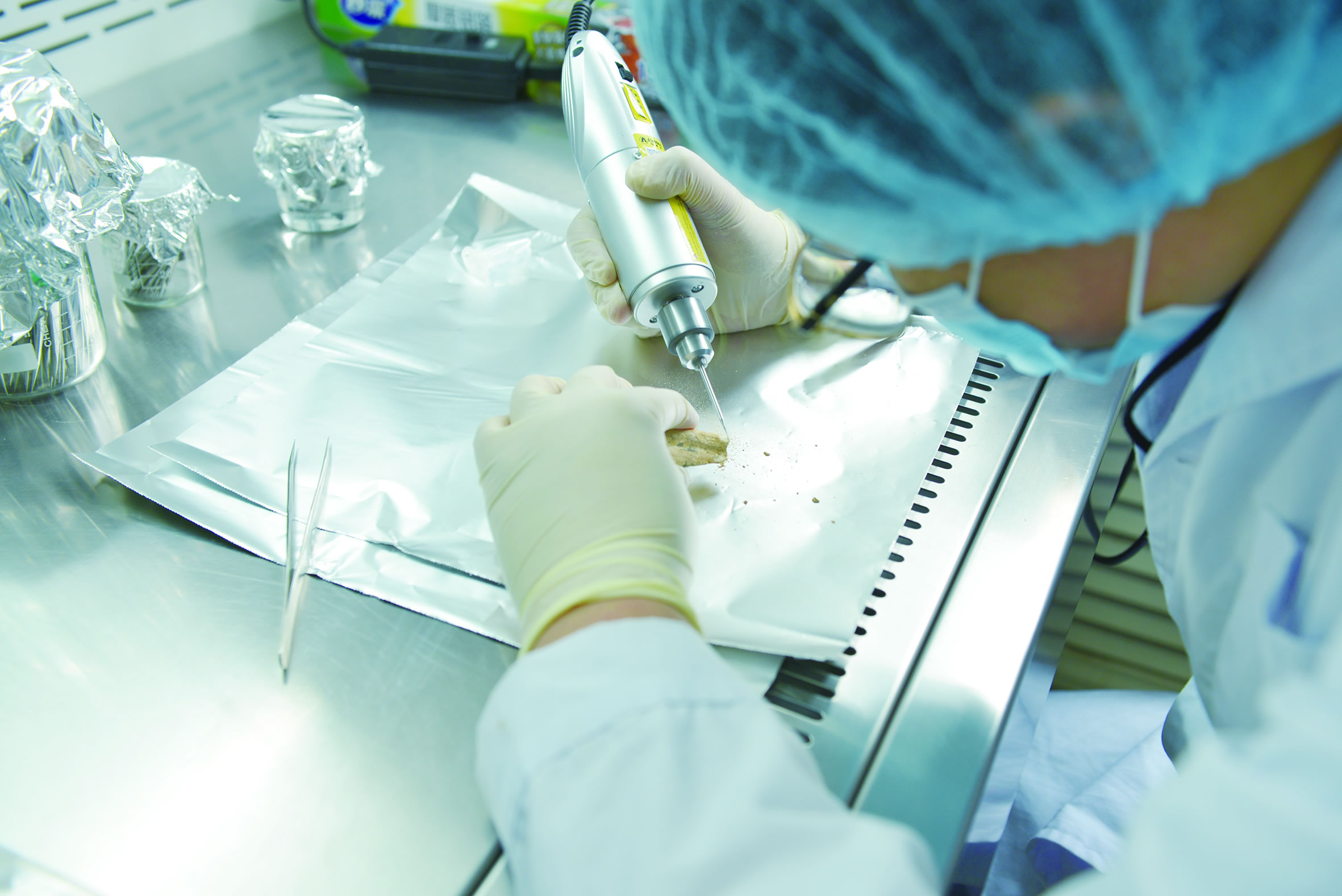 白石崖溶洞遗址出土化石刷新丹尼索瓦人最晚生存时间