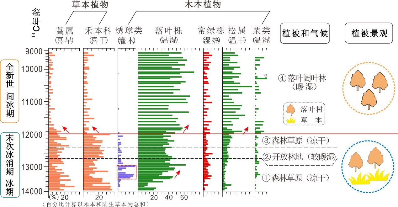 长江下游地区末次冰期—间冰期转折期植被及其气候响应