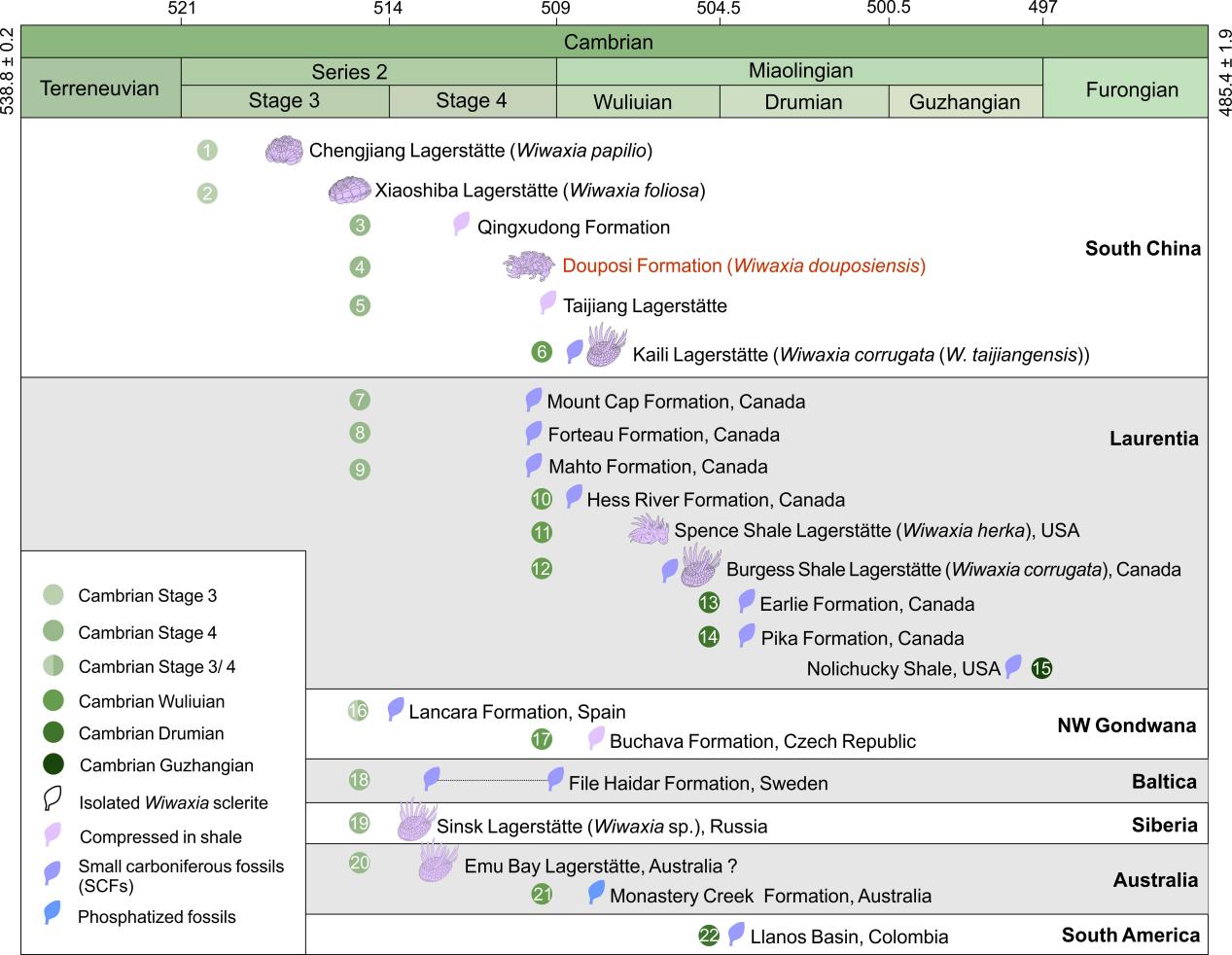�����Wiwaxia��ʱ�շֲ�����̬�������о���չ