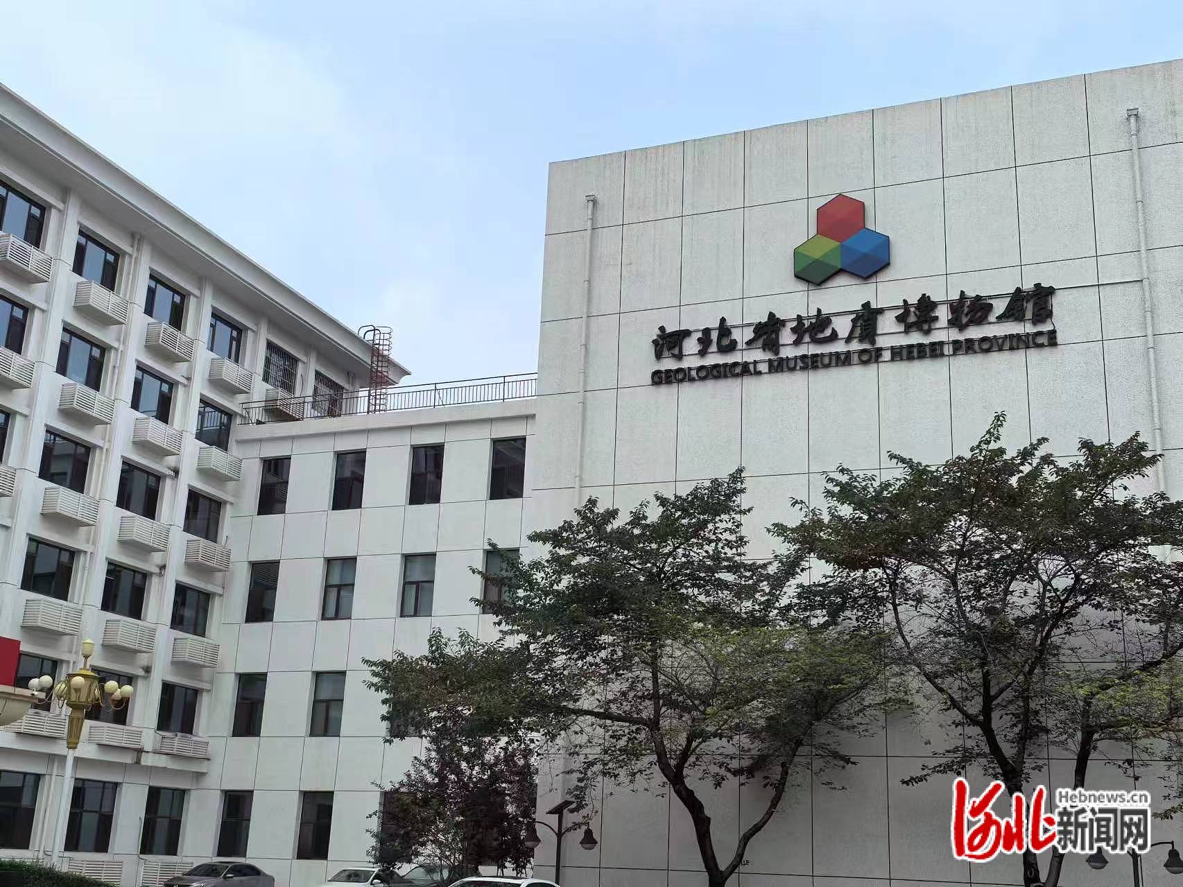 ȫΨһһ״ʯۺӱ¼ºͶﲶʳż