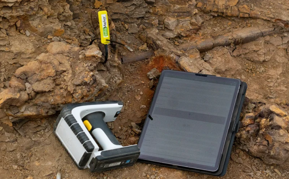 古生物学家使用RFID技术标记和跟踪恐龙骨骼