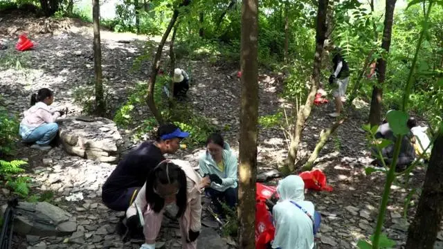 ���뻯ʯȺ���ҵ��ʹ�԰ӭ������������ѧ���ȳ�