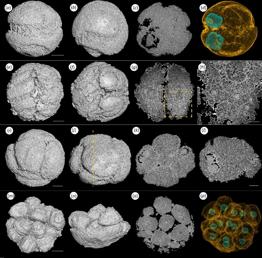 ���������ؽ���ʾ�Ͱ�����Ⱥ���ѻ�ʯ���������Ե��ϵ