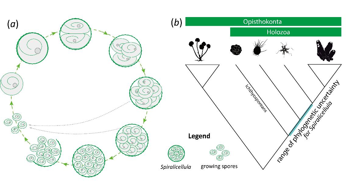 ���������ؽ���ʾ�Ͱ�����Ⱥ���ѻ�ʯ���������Ե��ϵ