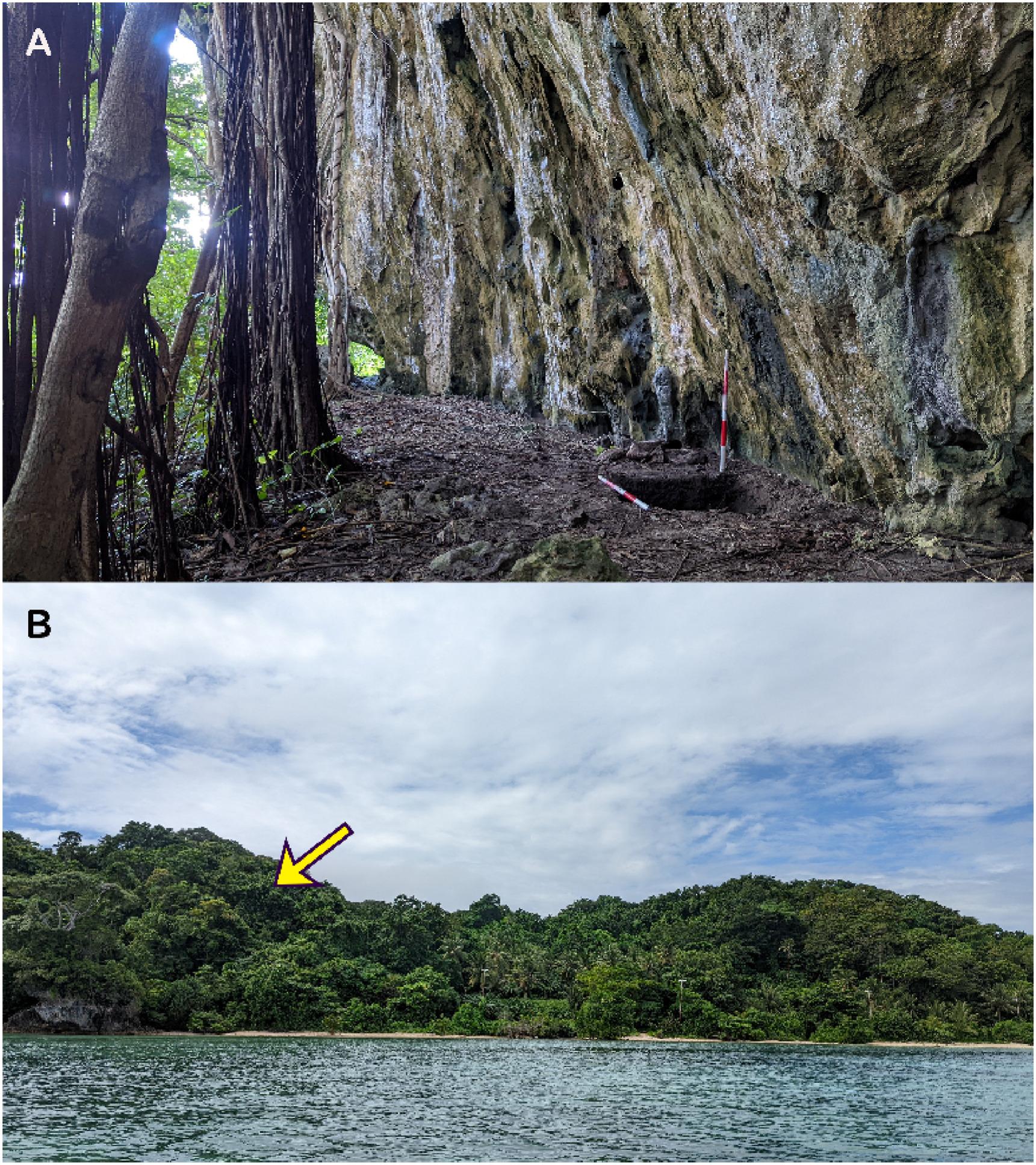 ӡ�������Ƕ��ϲ����־��4.2�����������ַ