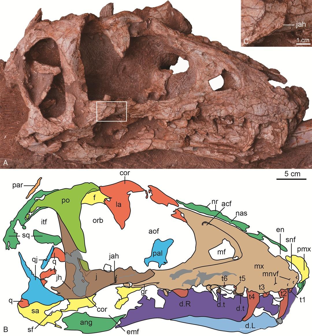 �й����ϲ��״η��������ͱ��������������