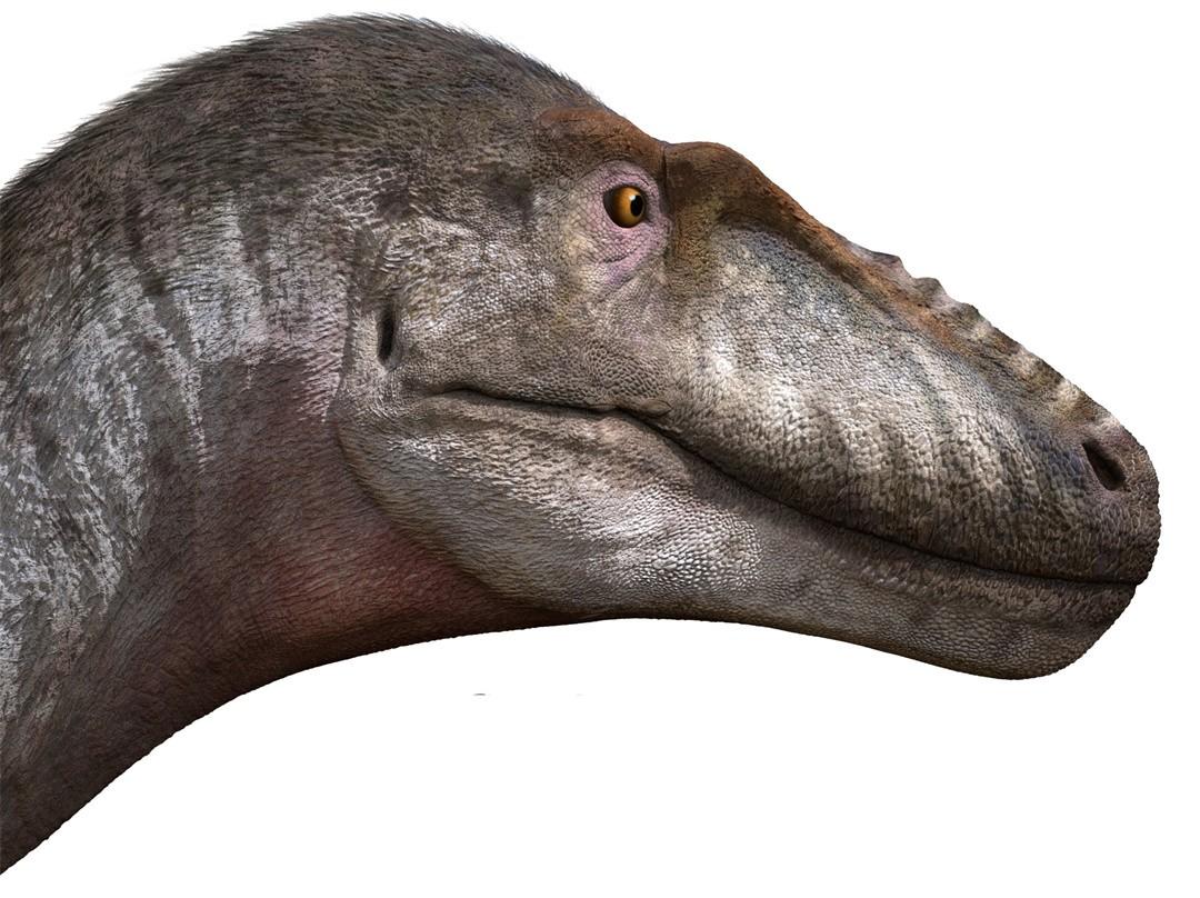 �й����ϲ��״η��������ͱ��������������