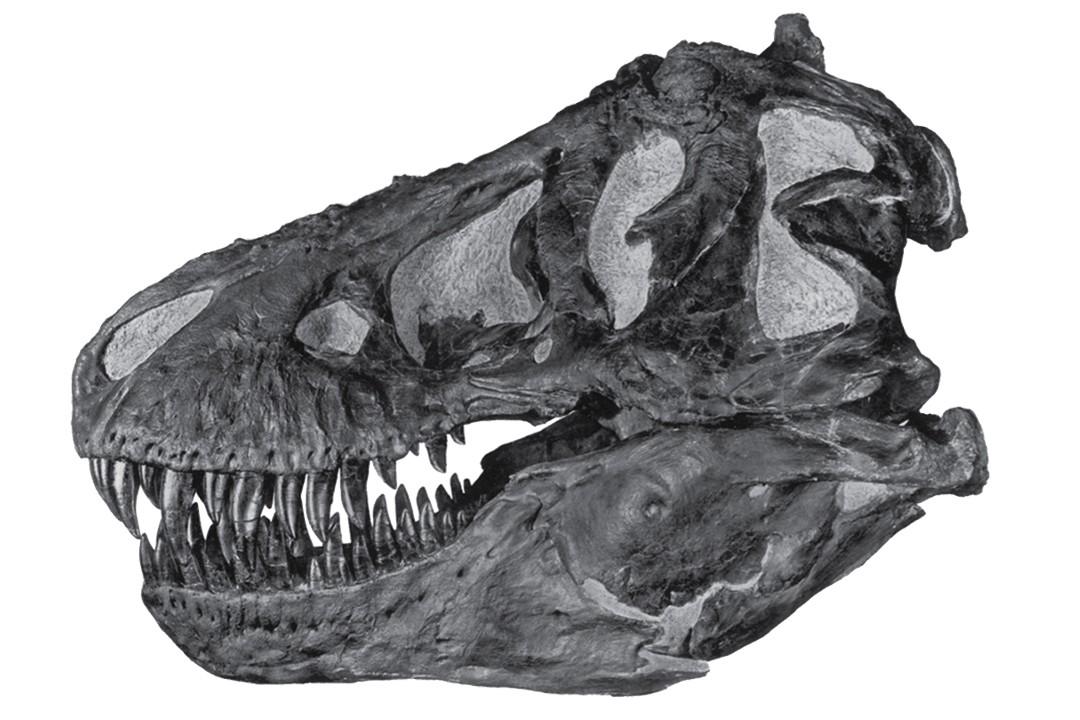 �й����ϲ��״η��������ͱ��������������