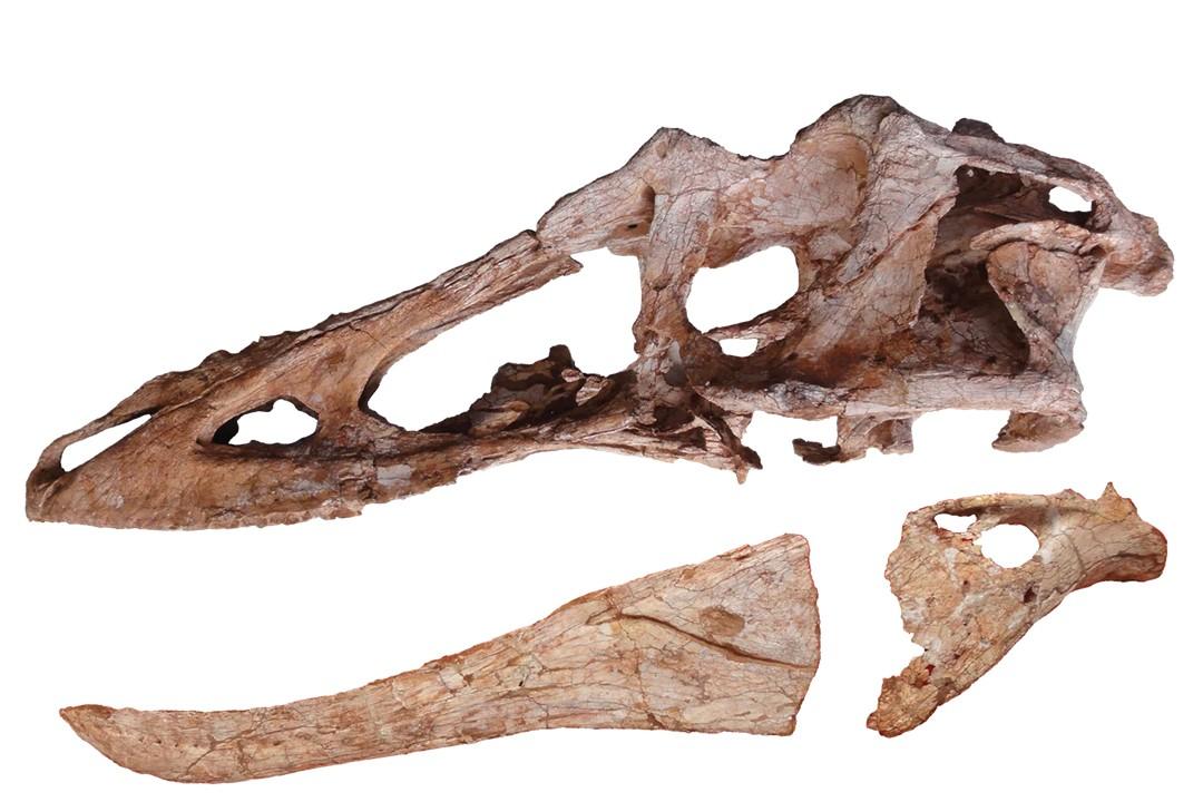 �й����ϲ��״η��������ͱ��������������