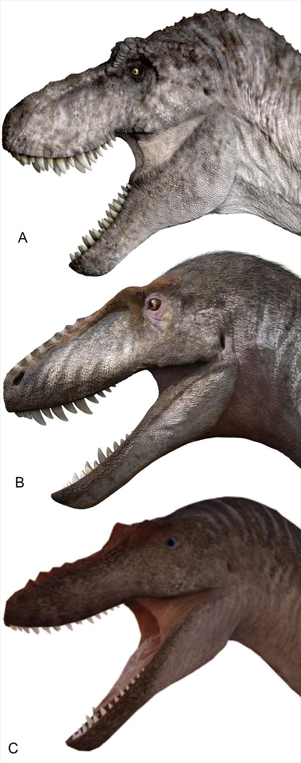 �й����ϲ��״η��������ͱ��������������