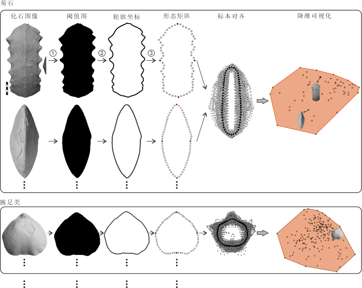 شоŶӿѧϰģ ʷ¼̬ݱ