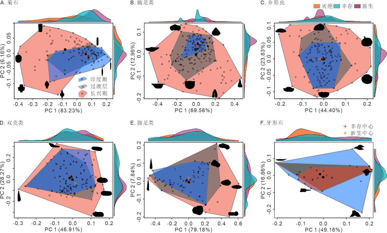 شоŶӿѧϰģ ʷ¼̬ݱ