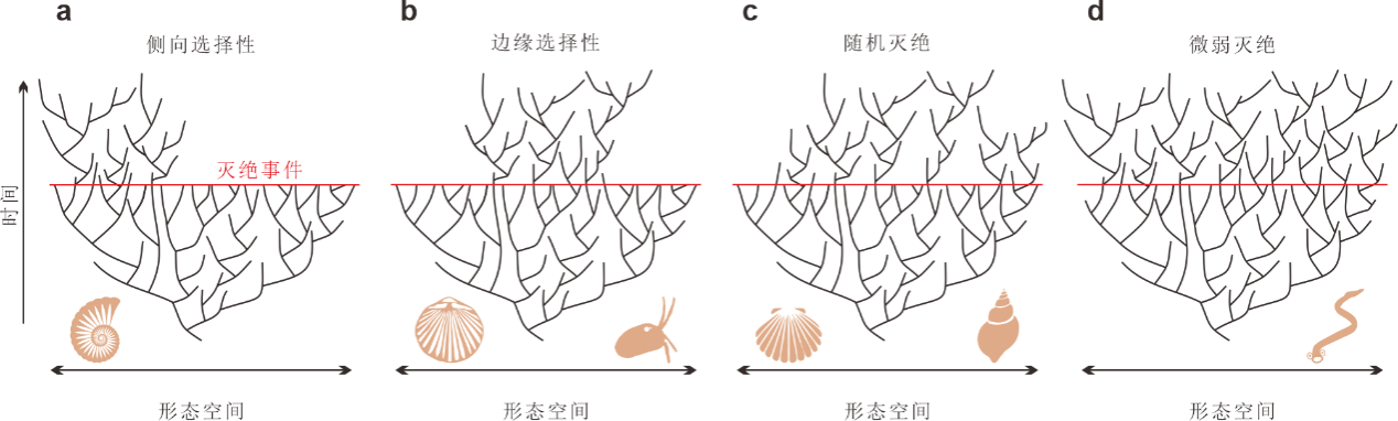 شоŶӿѧϰģ ʷ¼̬ݱ